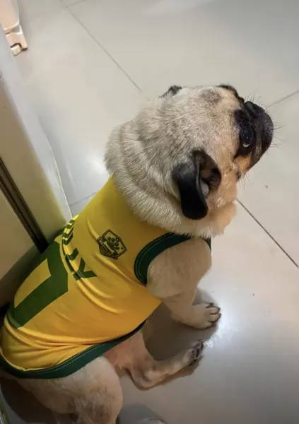 Foto da avaliação de Eduardo C.