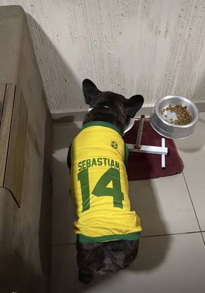 Foto da avaliação de Wagner M.