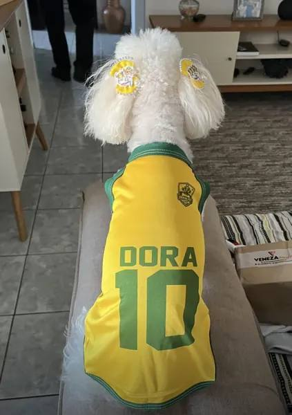 Foto da avaliação de Livia B.