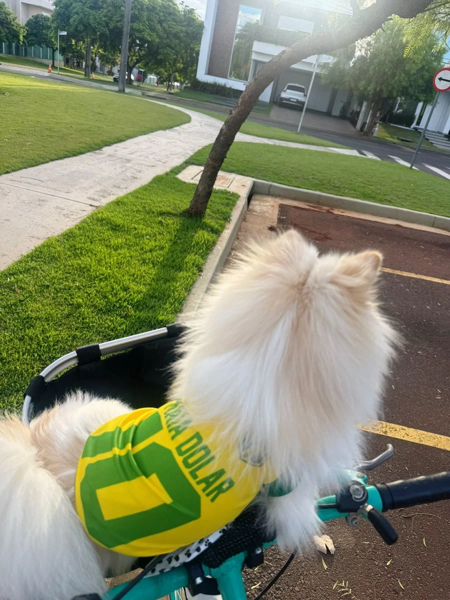 Foto da avaliação de Renata F. 1